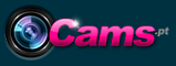 www.cams.pt